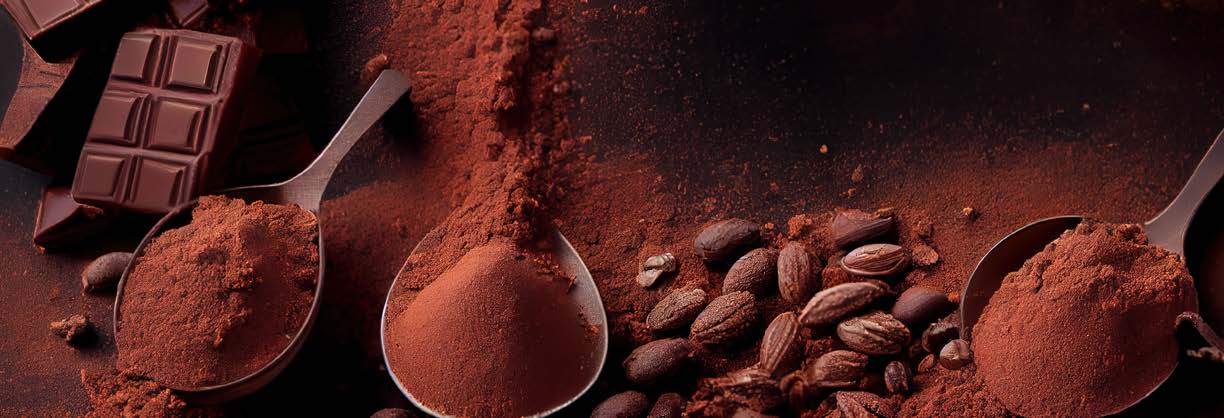 不同巧克力的吸收光譜